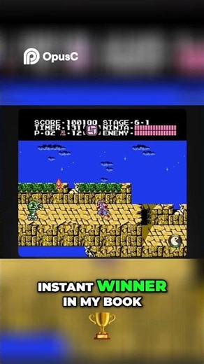 Ninja Gaiden Best NES Game My Instant Winner!