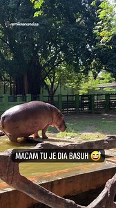 Dah macam bunyi motor rxz.. 😅😅😅 Sekali dia libas... Habis tempias air tutt tuutt 🤣🤣 kalau korang nak cari camera untuk vlog.. Beli kat sini 👇🏻 https://s.shopee.com.my/qRi9RUcxC 🎥apriliaanandaa | Jatt Cuba Review