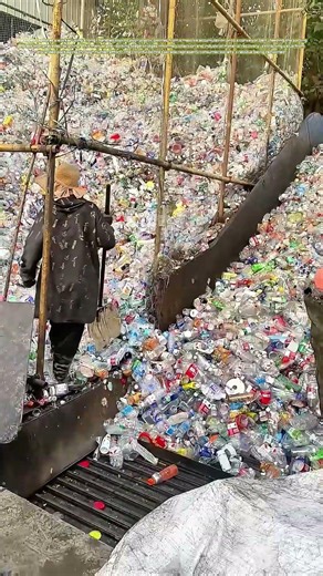 Sorting Streams: How Manual Labor Separates Plastic Waste for Recycling Recovery