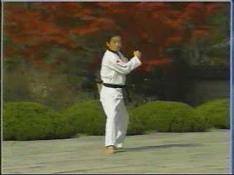 14. Taekwondo Poomsae Jitae (WTF)