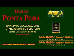 LOTE 35