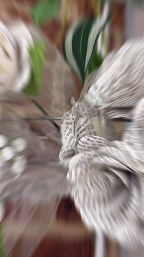 Christmas stocking fillers and secret santa gifts are available in store! Step Toward Change 10 Kooringal Road Wagga Wagga | Step Toward Change