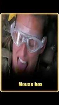 Staying in a confined space with mice and insects #challenge#foryou#usa#fyp