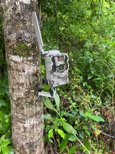 Check this out! Cliff Canter used the REVEAL by Tactacam ULTRA's new features to monitor a creek bottom in the hills of Kentucky, where no other cell camera could get a signal. | Working Class Hunter