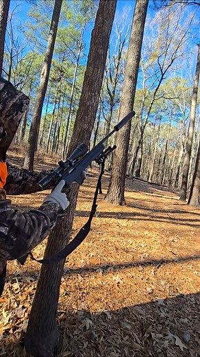 17hmr howa M1100 #review #outdoors