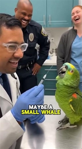 This PARROT's Hilarious Vet Meltdown! 🤣