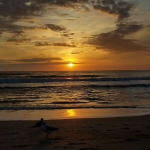 223K views · 10K reactions | Good morning! ❤✌ | First Light InSite | Facebook