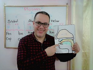 English Consonants _ Plosives: [p], [b]; [t], [d]; [k], [g]