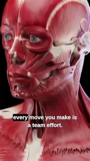 3D Animation of Every Muscles and Joints of your Body #bodyfacts #shortsfeed