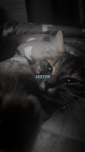 ming gabi ❤️‍🩹 #preset?xml🎟 #Presetedit #Preset5mb #presetmlbawah5mb #Jester_editz_preset