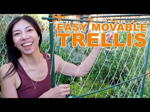 Easy Knot Trellis DIY