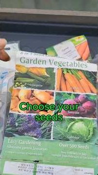 Follow our beginners Belfast allotment journey. Planting carrot seeds. 30th December 2025