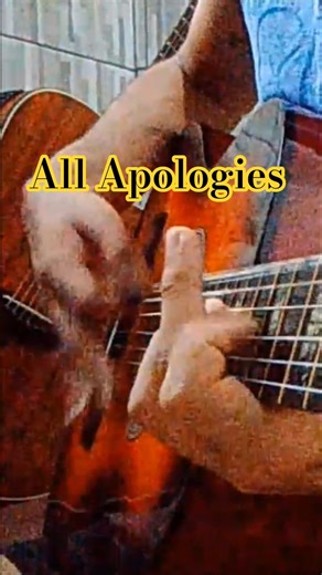 ACOUSTIC COVER of ALL APOLOGIES by NIRVANA