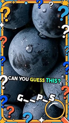 What Am I? Zoom In Mystery Challenge 🔍 #GuessThatObject #zoomchallenge #mysteryobject #quiztime
