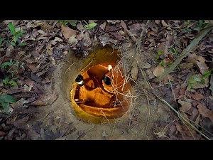 Off The Grid Underground Bamboo Villa: Secrets Revealed