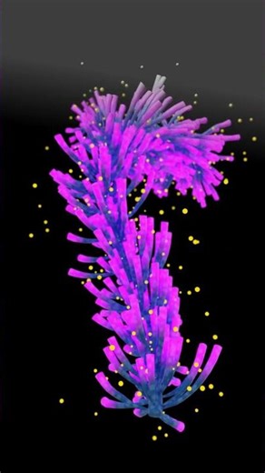 Procedural Coral in Blender - #blender #animation #blender3d #geometrynodes #cgi