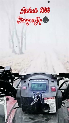 Linhai 300 Dragonfly #atv #linhai #dragonfly