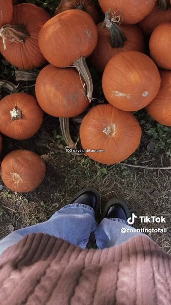 ⏳🍁 #fall #fallseason #cozyseason #autumn #fallvibes #fallaesthetic #autumnvibes