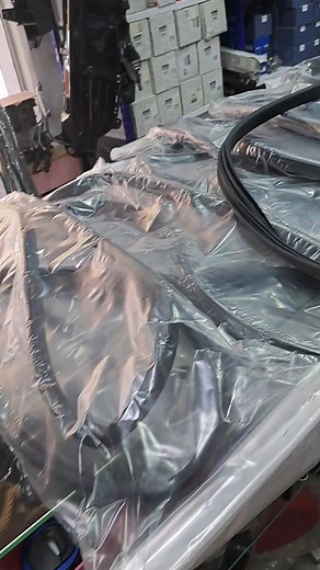 Female Squirrel Home Door Knocking Full Video