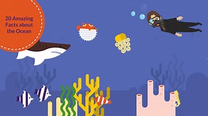 20 Amazing Ocean Facts - V1:1