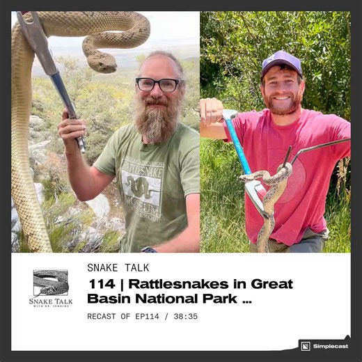 17 reactions | Has the #SnakeTalkPodcast changed your mind about snakes? Listen in as Dr. Chris Jenkins, Dr. Bryan Hamilton and Colton Irons discuss Great Basin Rattlesnakes: https://www.oriannesociety.org/snake-talk/ #OrianneSociety #ChrisJenkins #SnakeTalk #LetsTalkAboutSnakes #snake #reptile #venomous #rattlesnakes #rattlers #venomoussnakes | The Orianne Society | Facebook