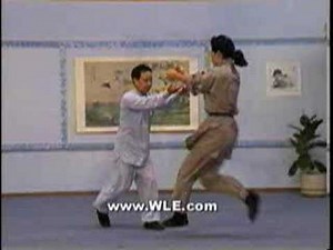 Sun Style Tai Chi Chuan Applications
