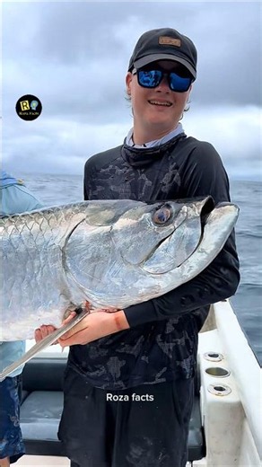 Tarpon fish er Scales layer keno tola hoy?