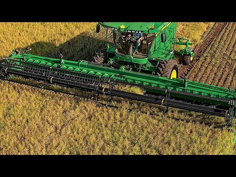 Swathing Oats in Alberta | 2025 Harvest Begins
