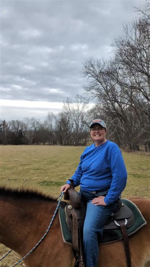 Family Trail Riding Adventures with Horses
