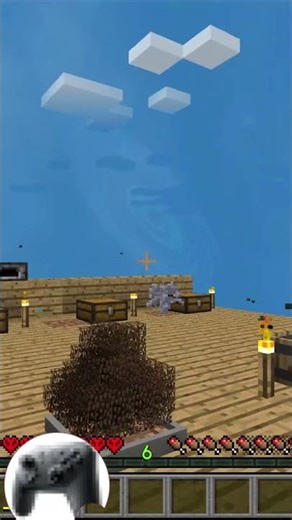 I Make a Water Oopsie #letsplay #minecraft #skyfactory4