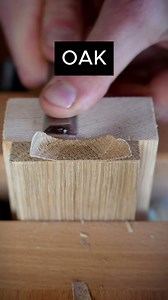 Satisfying oak end grain shaving with a razor sharp chisel
