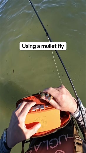 Effective Mullet Fly Techniques for Deeper Water Fishing