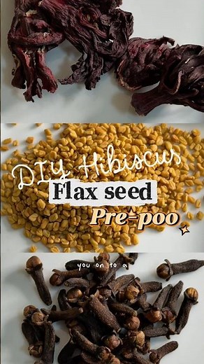 DIY FLAXSEED PRE-POO (cold pressed) for dry & tangled hair 🌺💦