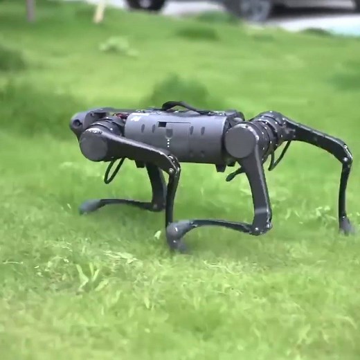 Presenting a (comparatively) more affordable robot dog: the $10,000 Unitree A1. | CNET
