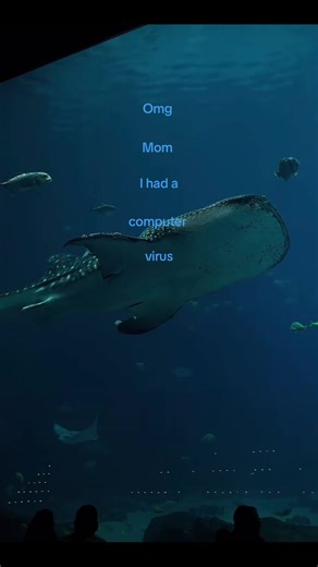 How to Handle a Computer Virus Effectively