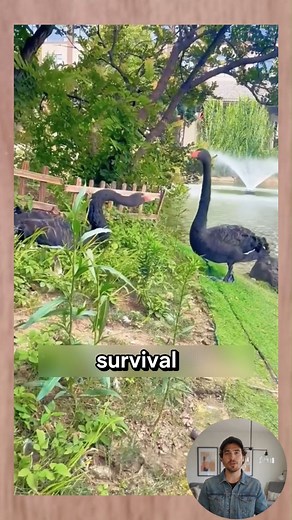 #animals | Animal Matrix | Facebook