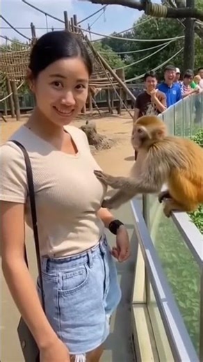 The monkey is happy to interact with a woman at the zoo