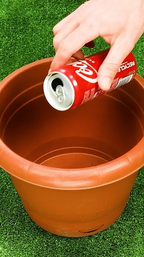 Flower planting hack you can't miss! | Trendy Magazine