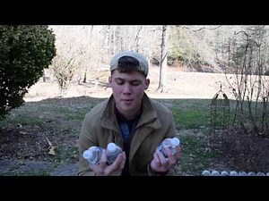 Crossman 1077 (Review and Power Test)