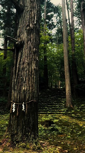 平泉寺白山神社の絶景を探る旅