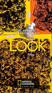 20 reactions | Look: A new seven-level series for young learners of English. Coming soon! ELTNGL.com/look | National Geographic Learning | Facebook