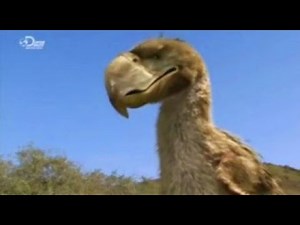 Mega beasts monsters resurrected-Episode 1 - Terro Bird [part 1]