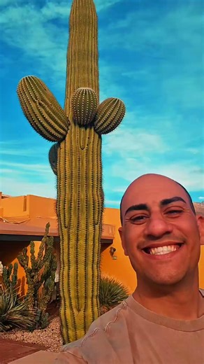 Somewhere in Arizona