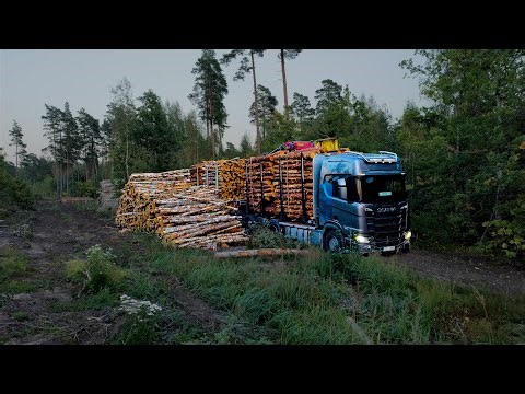 Simple reversing. Loading birch, pine and spruce pulpwood