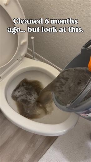 Cleaned 6 months ago… but daily use brings deep dirt back. Send photo + ZIP.