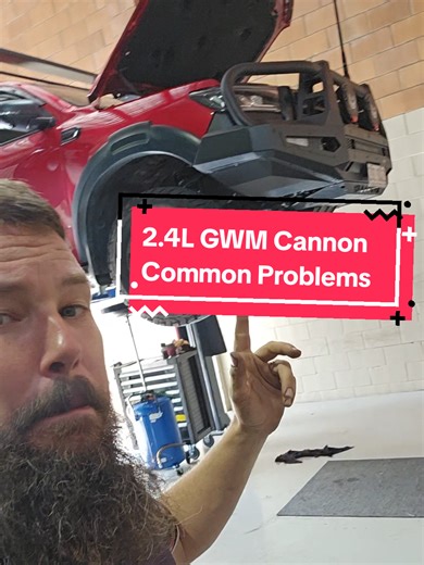 GWM Cannon 2025: Common Problems to Watch For