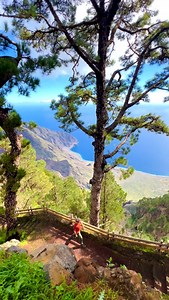 📍 El Hierro, l’île la moins connue des Canaries 🇮🇨 Et pour cause, cette petite île n’a pas d’aéroport international…. Pour t’y rendre, tu peux prendre le ferry depuis Tenerife (2h30). D’ailleurs, est-ce que tu savais que tu pouvais aller aux Canaries sans avion, en prenant le ferry depuis le sud de l’Espagne ! Les infos pratiques sur El Hierro : - Tu peux louer une voiture à l’arrivée du ferry (nous sommes passés par Cicar pour la 5ème année aux Canaries, et c’est top et pas cher !). - Ici il