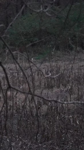 The anticipation of the hunt, greatest feeling in the world. Presented by: Nomad OutDoors | Barstool Outdoors