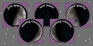 Phases of the Moon Display Photo Cut Outs