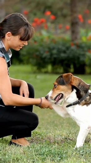 Holiday gifting just got sweeter. 🎁✨ When you spend $75 or more on Blue Buffalo dog or cat food and treats, you’ll earn a $15 Pet Supermarket gift card to use on your next visit. Stock up on premium nutrition for your pets and get a little extra cheer. Hurry, offer ends December 31! Shop now: https://www.petsupermarket.com/brands/b/blue-buffalo/ | Pet Supermarket